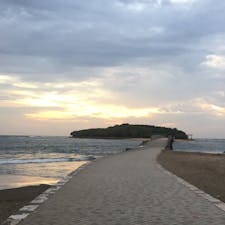 宮崎県の青島駅降りてすぐ。
ローカル電車乗るのが楽しかった

鬼の洗濯板という奇岩がある場所ですが、満潮のため殆ど見れず。そこまで考えてなかった…