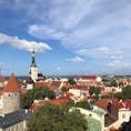 エストニアのタリン行ってきました〜🇪🇪
どこの写真を撮っても絵になる街でした。