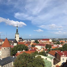 エストニアのタリン行ってきました〜🇪🇪
どこの写真を撮っても絵になる街でした。