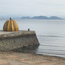 #香川
長蛇の列
#黄かぼちゃ#南瓜#直島