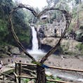 テガヌガンの滝
なかなかの勢いと音！
#Bali
#テガヌガンの滝
#パワースポット
#ウブド