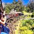 Puffing billy railway in Melbourne