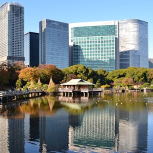 浜離宮恩賜庭園