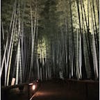 京都  高円寺

幻想的✨