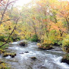 紅葉の時季の奥入瀬渓流です