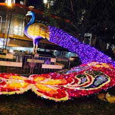 リトルインディア✨
煌びやか✨で艶やか✨