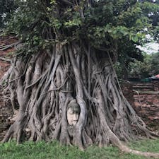✨アユタヤ遺跡群✨