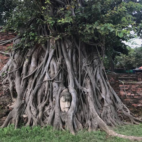 ワット・プラ・マハタート