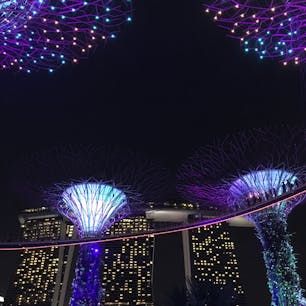 Marina Bay Sands＆
Gardens by the Bay