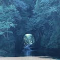 亀岩の洞窟(千葉県)

昼前に行っても綺麗だった。
写真を撮るには、ちょっと水辺に行かないといけなかった。汚れてもいい格好で行ってよかった！