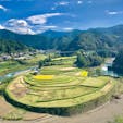 あらぎ島@和歌山です。
稲刈りの途中でしょうか？
黄色と緑のパッチワークの完成です😀