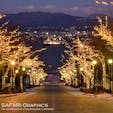 函館で最も美しい坂「八幡坂」。街路樹がライトアップされる秋冬は特に綺麗です！坂の上からは同じくライトアップされた海上に浮かぶ旧青函連絡船「摩周丸」やベイエリアの夜景が見渡せます。