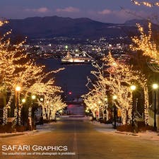 函館で最も美しい坂「八幡坂」。街路樹がライトアップされる秋冬は特に綺麗です！坂の上からは同じくライトアップされた海上に浮かぶ旧青函連絡船「摩周丸」やベイエリアの夜景が見渡せます。