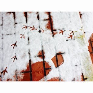 🐾 University of tronto 20170205
カナダ・トロントに留学したときの最初の写真📸


今日は初めてターミネーターを見た。
日本の吹き替えの声よりも高くてびっくり。


今日も僕だけが行ける世界で銃声が轟く
眩い 儚い 閃光が駆けていった
「何かが終わり また何かが始まるんだ」
そう きっとその光は僕にそう叫んでる