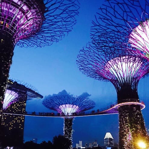 ガーデンズ・バイ・ザ・ベイ