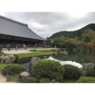 天龍寺 京都 [2018 Sep.]

#kyoto #japan #tourism