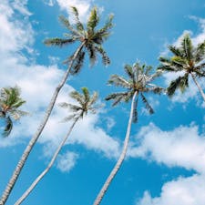 ハワイ
カイルアビーチ🏖