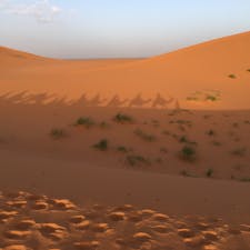 モロッコ🇲🇦サハラ砂漠の日の出、ラクダに乗って🐪