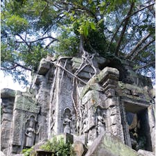 カンボジア　ベンメリア
♡ラピュタのモデル？
遺跡に登ったり触ったりできました
カンボジアで一番おすすめかも♡