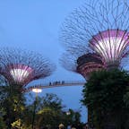 singapore🇸🇬garden by the bay