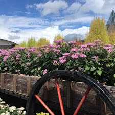 とっとり花回廊