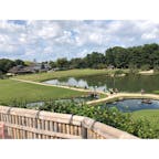 岡山 後楽園。
のどかで平和でした。