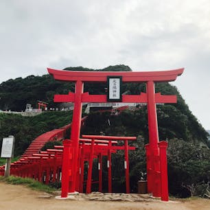 山口県長門市の元乃隅稲成神社

鳥居をくぐって海の方へ行くと断崖絶壁のギリギリまで行くことができます。ただ混み合うので足元には気をつけて！

休日は駐車場待ちの長い列が出来るので時間に余裕を持って行くのをお勧めします。途中で車を降りて歩いて行く人もちらほらいました。運転手の方がOKしてくれたら歩くのもいいかも。