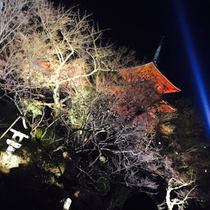 京都はいいところです