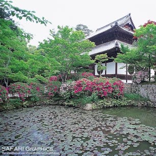 岡山県総社市にある宝福寺。室町時代に少年だった雪舟が修行を積んだとされる禅寺です。雪舟は修行よりも絵を描いてばかりいたそうですが、描きたくなるのも無理もないと思うほどに美しいお寺です。座禅体験もできますよ！