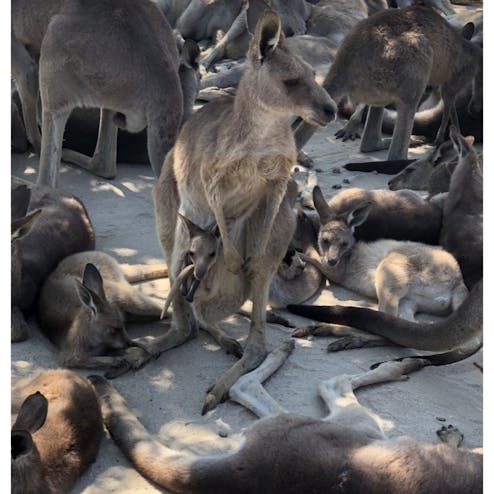 ひびき動物ワールド