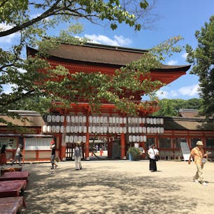 【下鴨神社／京都府京都市左京区】
葵祭、流鏑馬、蹴鞠で有名な下鴨神社。静かで落ち着いた空間が広がっていて、心を落ち着かせたい時にはぴったりの場所です。糺ノ森と反対側の出入り口から出て5分程歩いたところにみたらし団子発祥のお店があるのでそちらもぜひ！