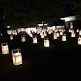 島根県で9月初めから10月末まで開催されている水燈路
城下町から松江城に渡って綺麗な光が灯されています
歩くだけで心が安らぎます。