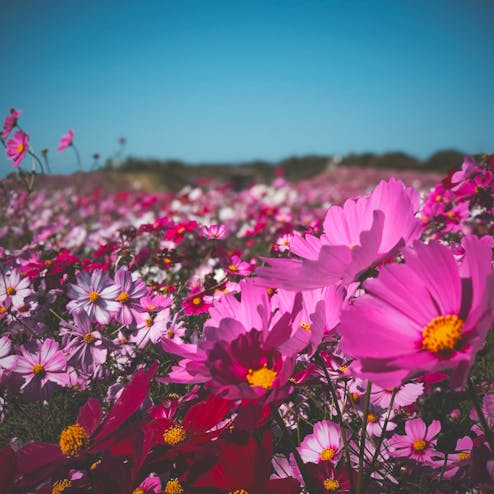 海の中道海浜公園