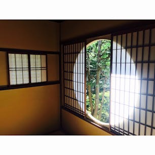 🇯🇵京都 雪舟寺

真正面から見たら1枚の絵画のように。
お寺自体は静かで時間がゆっくりなので、朝一行って縁側でのんびりが◯。