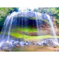 🇵🇼PALAU ガラツマオの滝
こんな近く?真下?で滝を見ることも無いし、
行くまでのジャングル探索も非日常でわくわく。