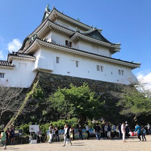 下から見上げた和歌山城です。

石垣が特徴的です。