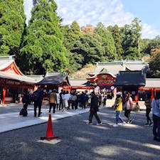 鹿児島県の霧島神宮を参拝しました。観光客を始め、七五三のお祝いをされている方など、多くの人がいらっしゃっていました。