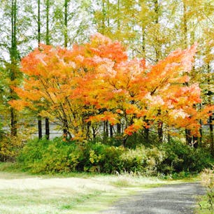 台風の影響を逃れた〜