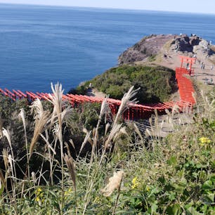 【山口県】
元乃隅稲成神社