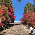 京都 神護寺🍁🍂
天気がとってもよくて、紅葉と空のコントラストがバッチリ〜✨
ほんまにきれいやったなぁ☀️
