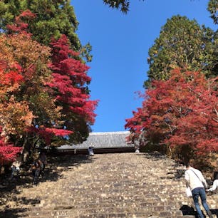 京都 神護寺🍁🍂
天気がとってもよくて、紅葉と空のコントラストがバッチリ〜✨
ほんまにきれいやったなぁ☀️