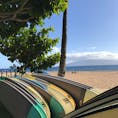 カアナパリビーチではサーフボードを借りてサーフィンが出来る。
初心者でもレッスン予約がその場で可能。