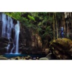 和歌山 桑の木の滝