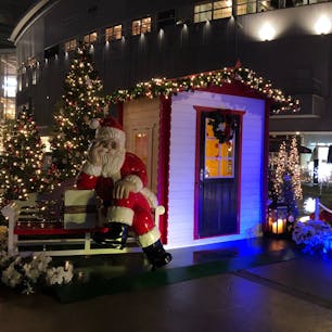 ららぽーと豊洲のクリスマスイルミネーション。
ソリの中には…