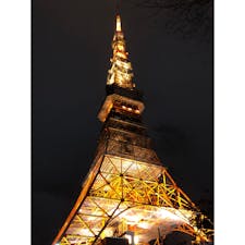 クリスマスイルミネーションが始まった東京タワーに行ってきました。

スカイツリーもいいけれど、東京タワーもね。