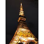クリスマスイルミネーションが始まった東京タワーに行ってきました。

スカイツリーもいいけれど、東京タワーもね。