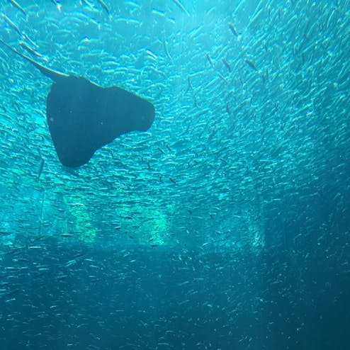 アクアマリンふくしま
