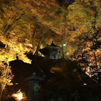 愛知県香嵐渓

綺麗でした。