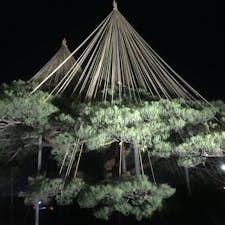 兼六園のライトアップ