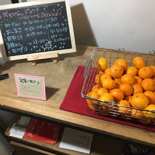 #道後八八#ホテル#エレベーター前#時間ごとに置いてるものが変わる